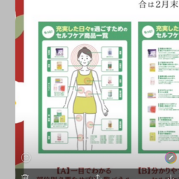 カイロプラクティック和田