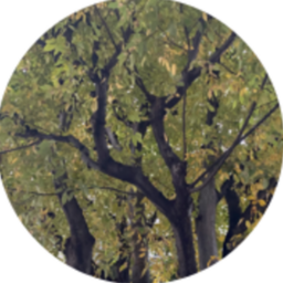 Re-build|お庭のことならお任せ🌳✨
