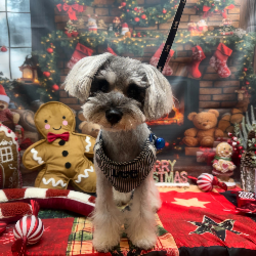 株式会社航建設's avatar