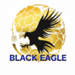 BLACK EAGLE