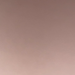 パーソナルトレーナー