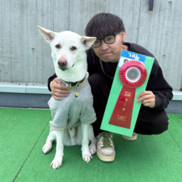 わんわん幼稚園Buddy