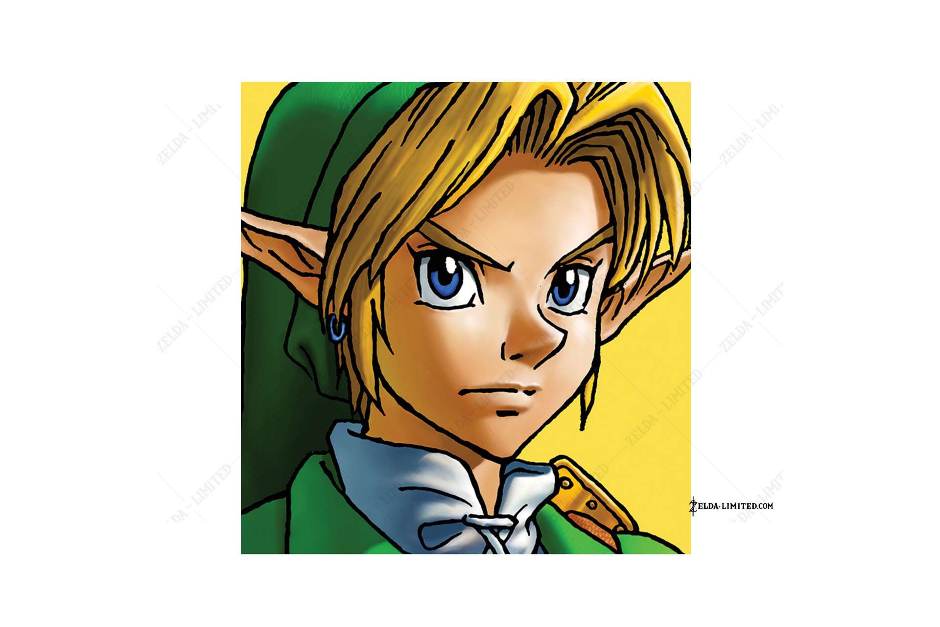 link canvas print id wdc95580