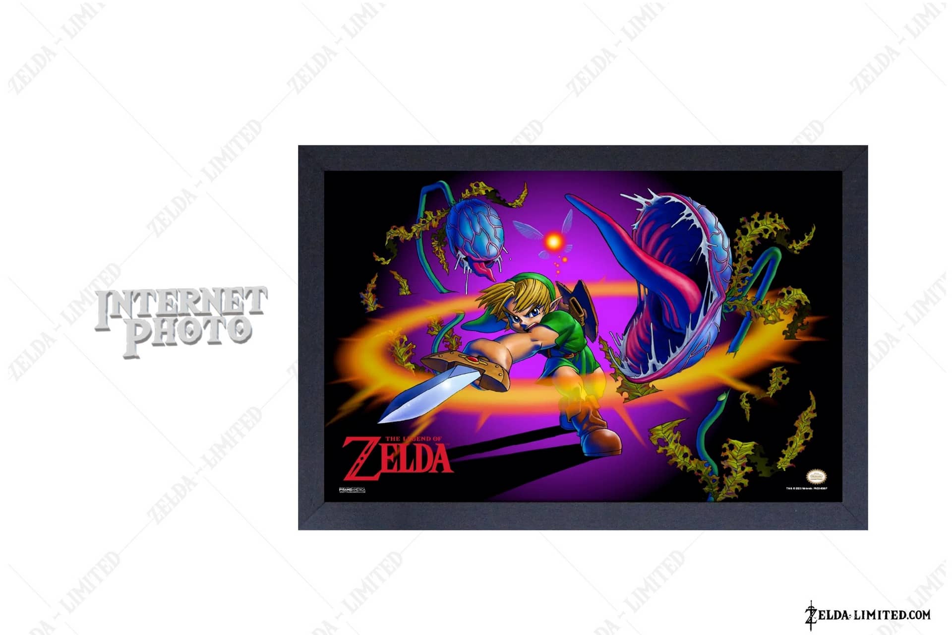 PAE84098F Framed Print
