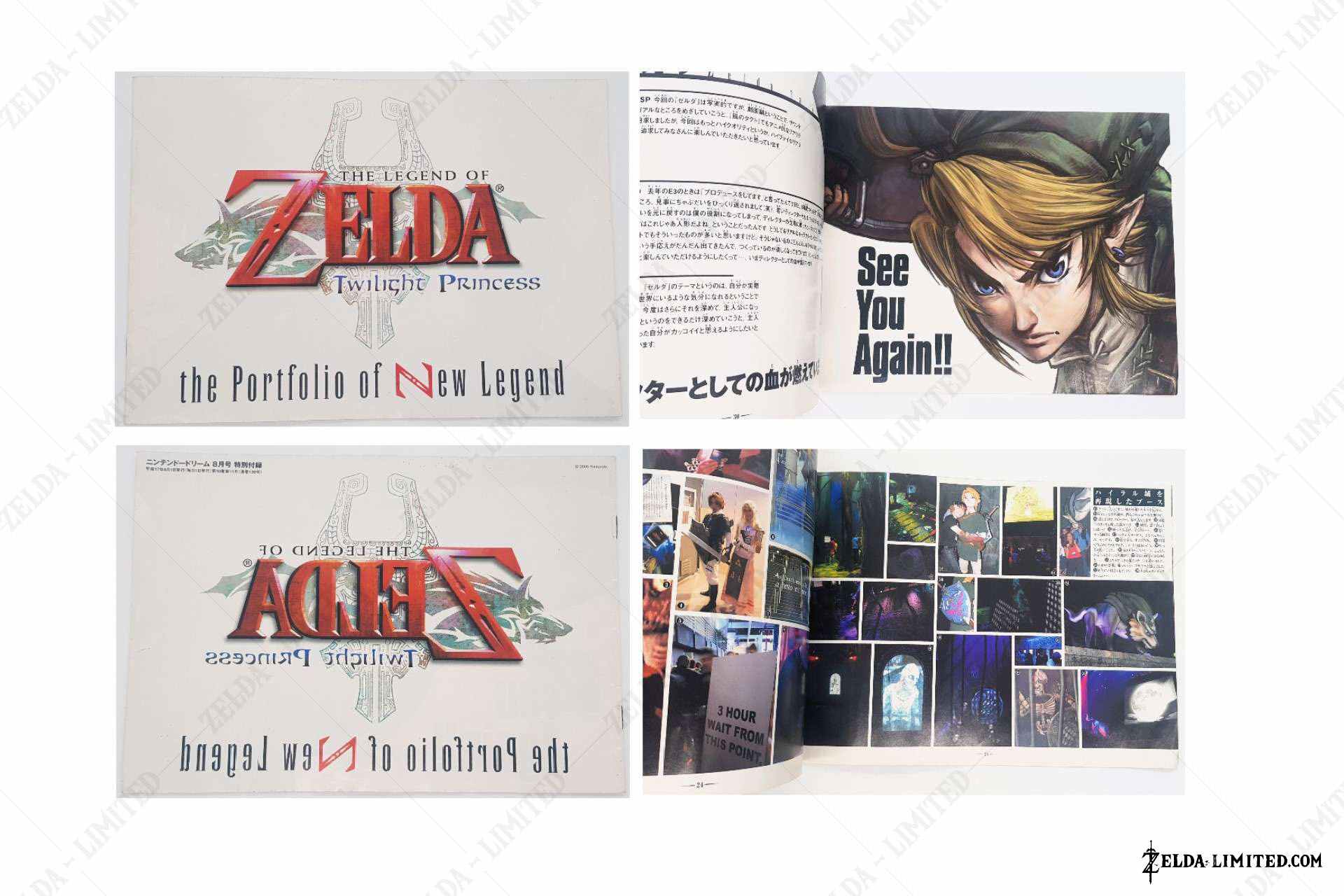 vol 136 nintendo dream appendix
