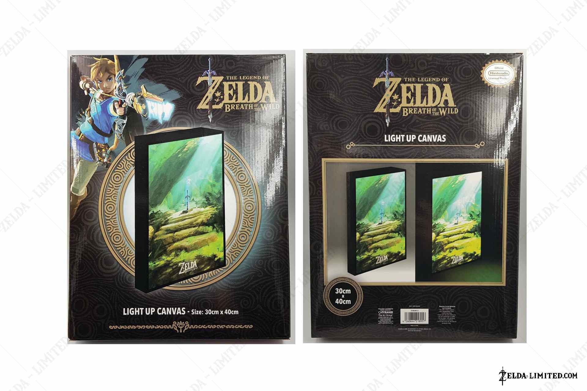 lightup canvas