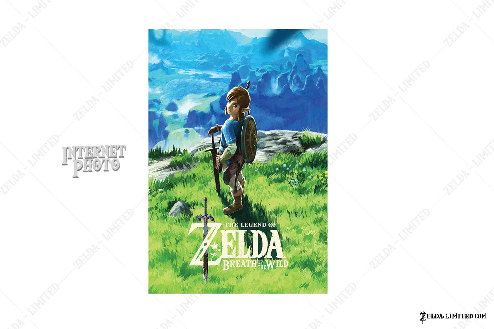 Canvas Print id WDC100000