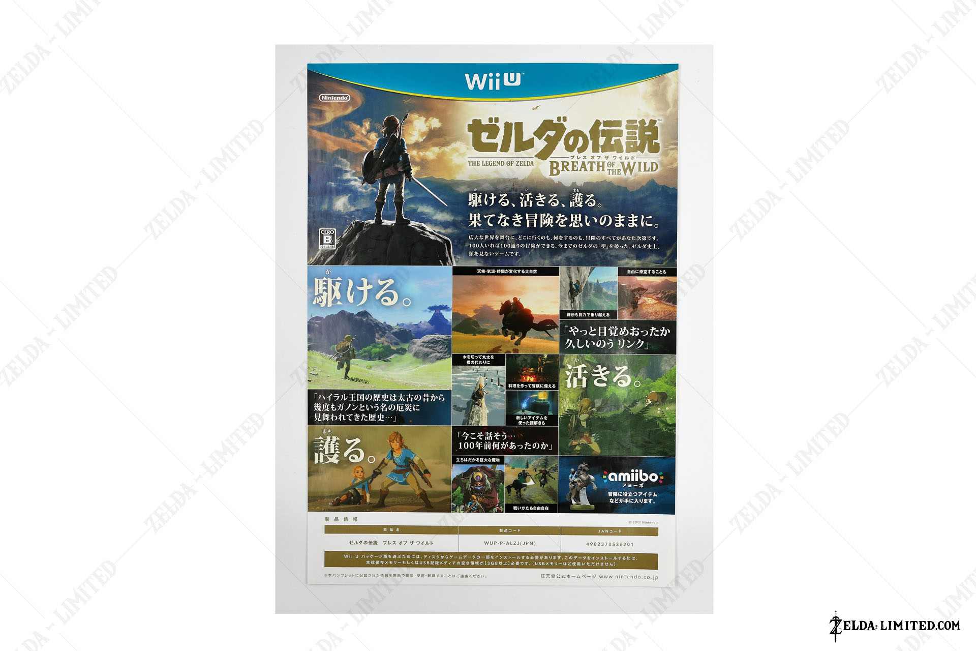 display flyer wii u
