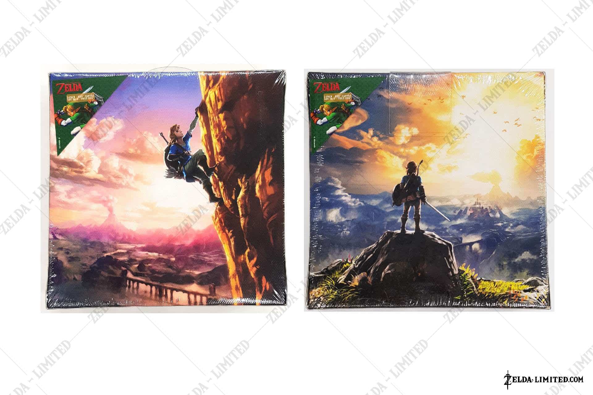 2 pack Canvas 6x6