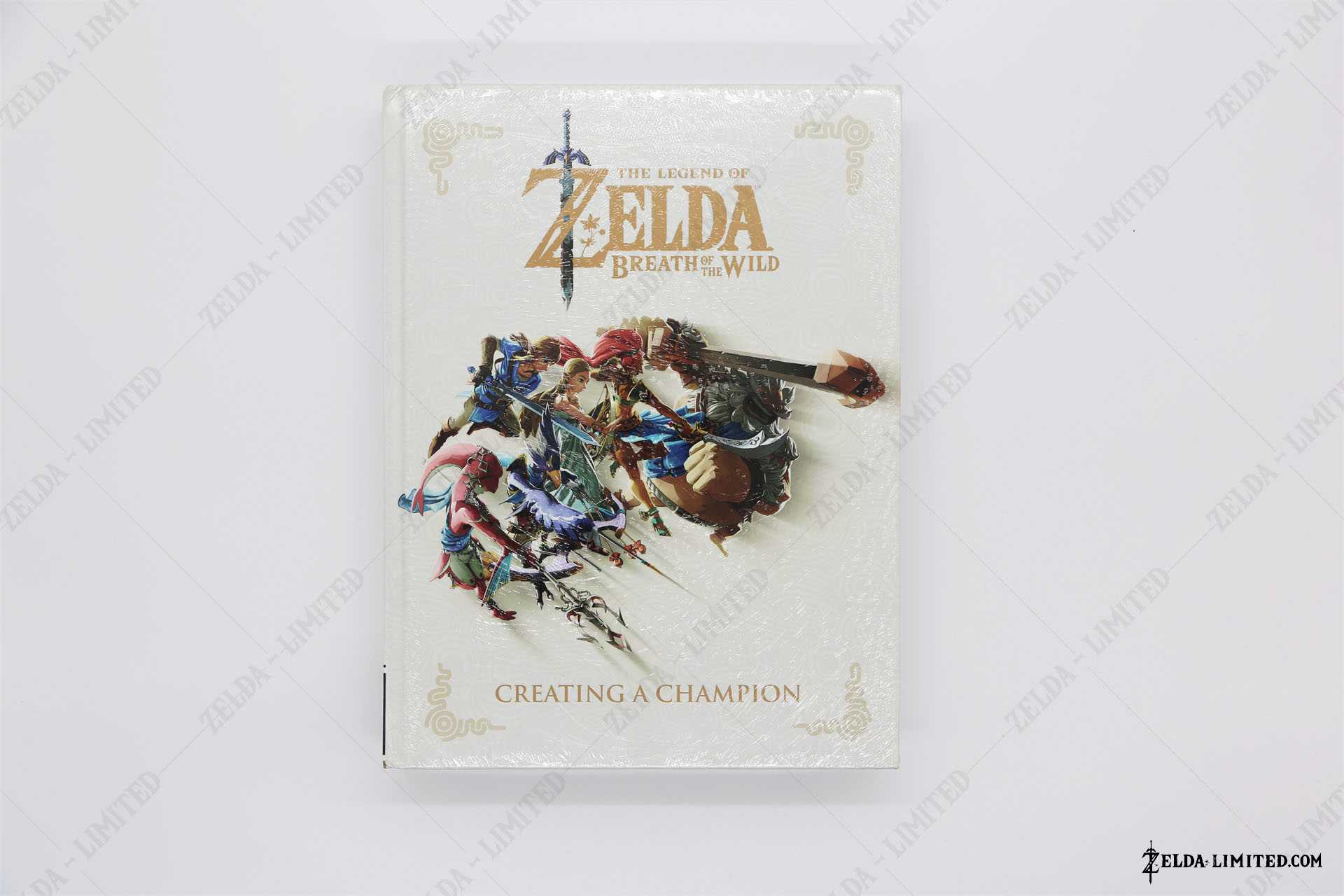 creating a champion