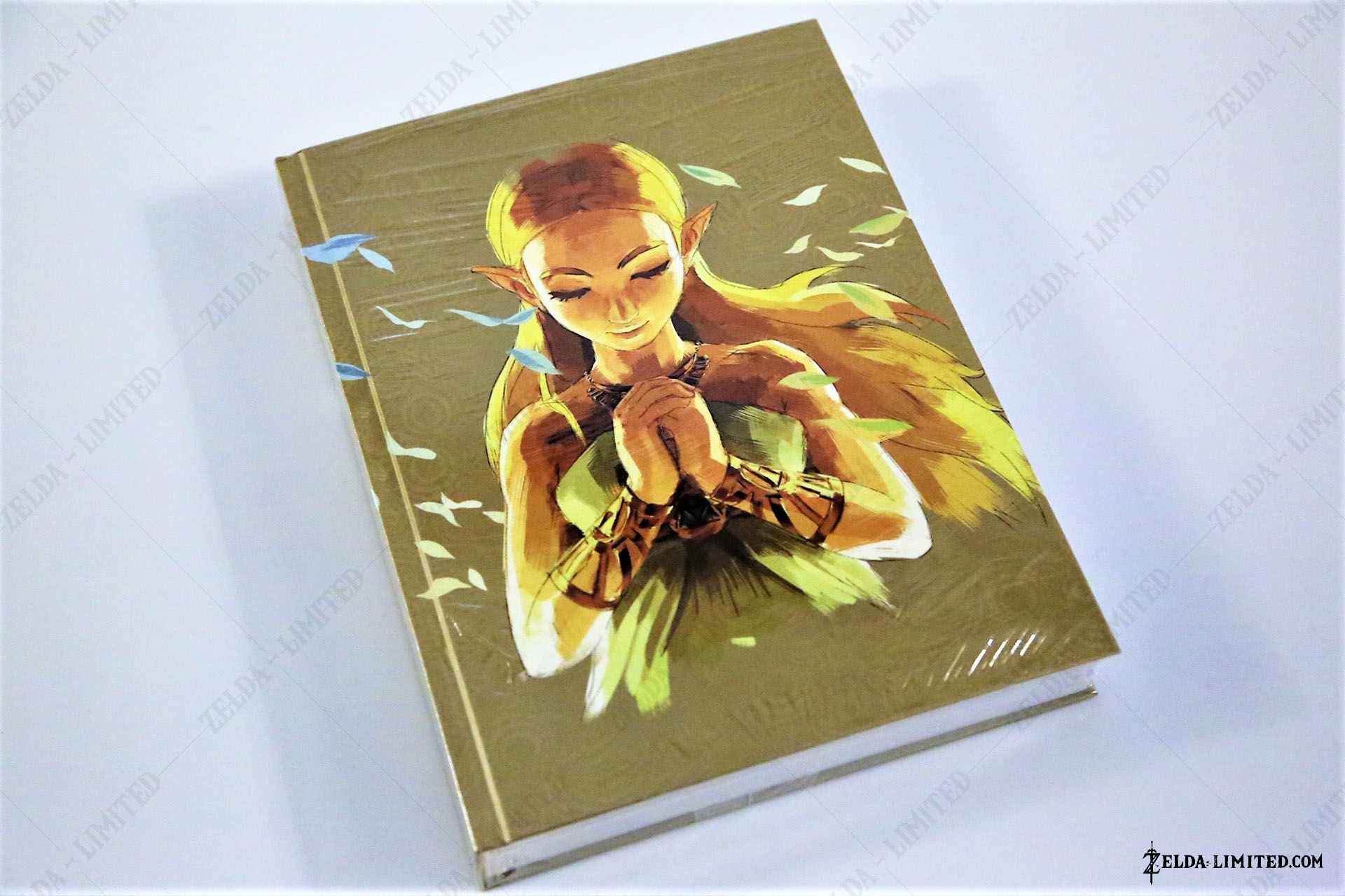 guide edition augment