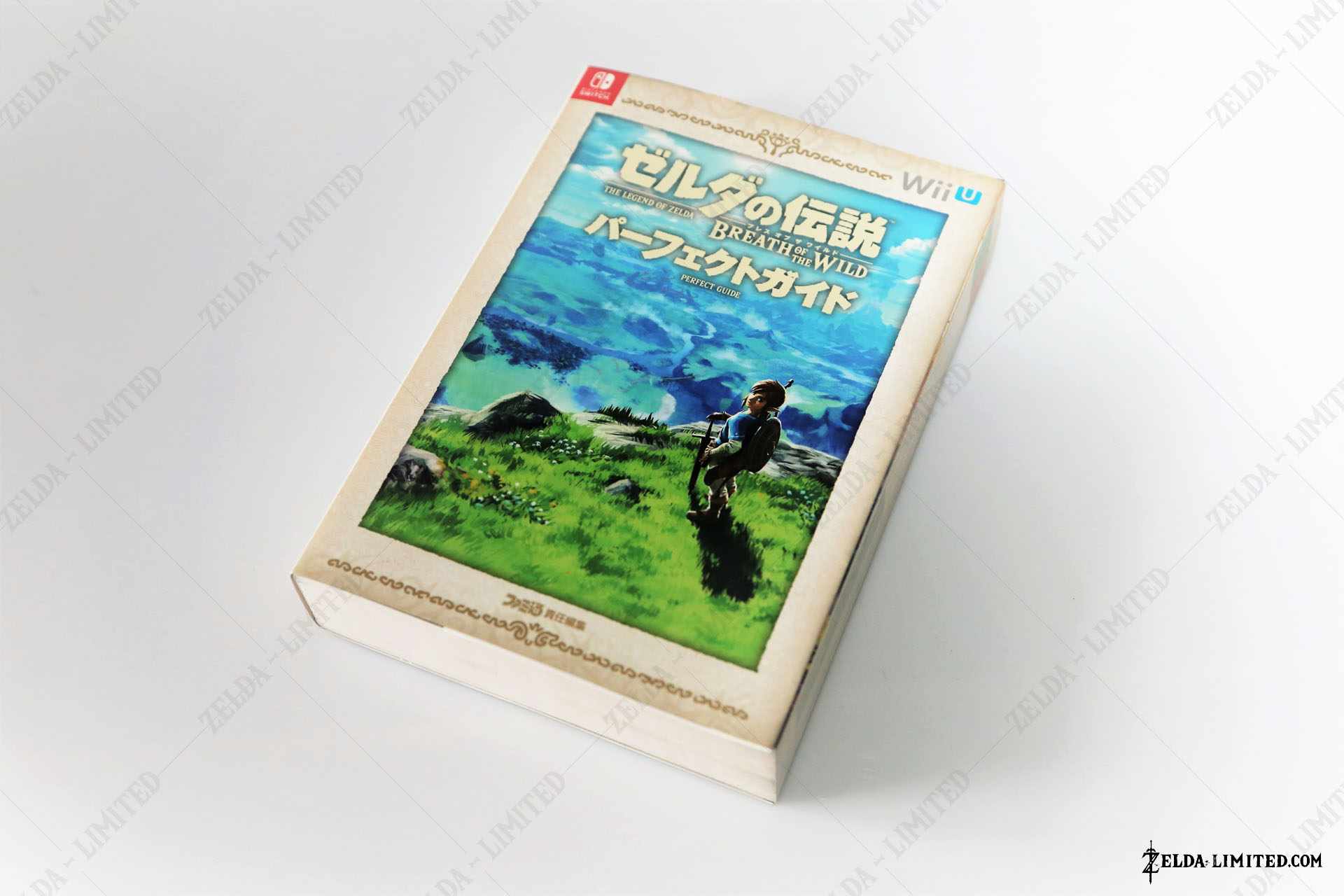guide