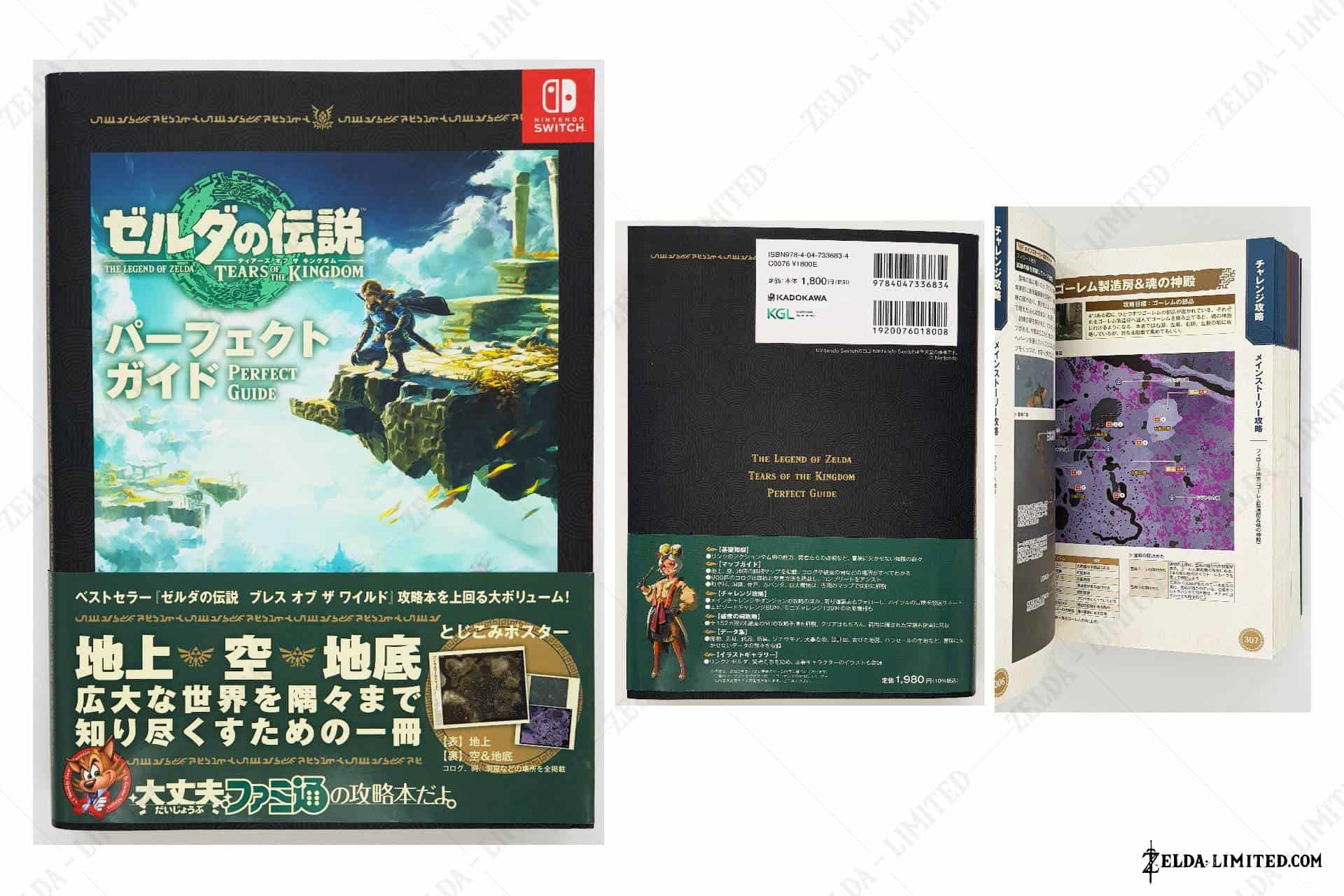 collector guide