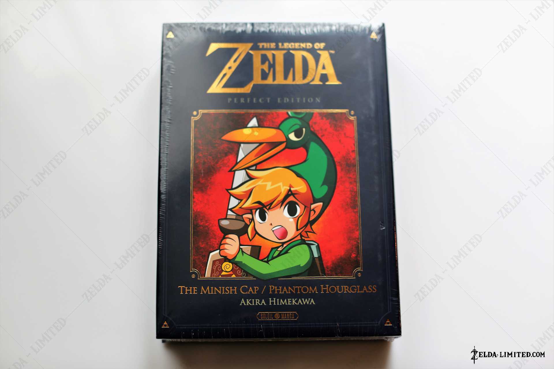 manga the minish cap and phantom hourglass