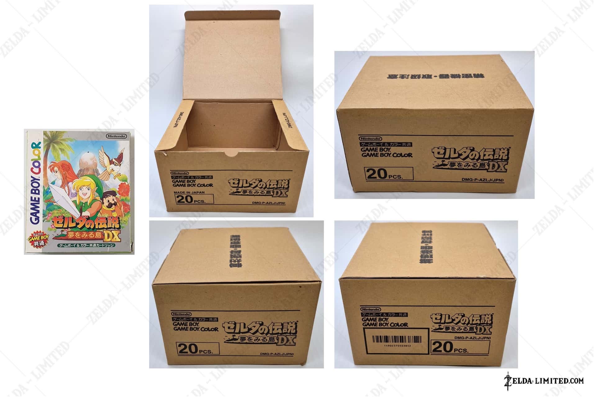 dx box 20 pcs
