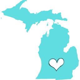 Michigan Professional Corporation