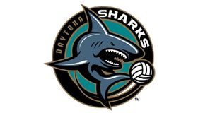 Daytona Sharks Volleyball Logo