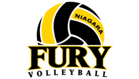 ᐈ Volleyball logo: 20+ examples of emblems, design tips | ZenBusiness
