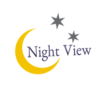 Night View ZenBusiness Logo