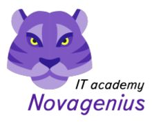 Nova Genius ZenBusiness logo