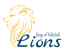 Lions ZenBusiness Logo