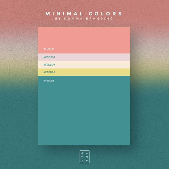 color palettes