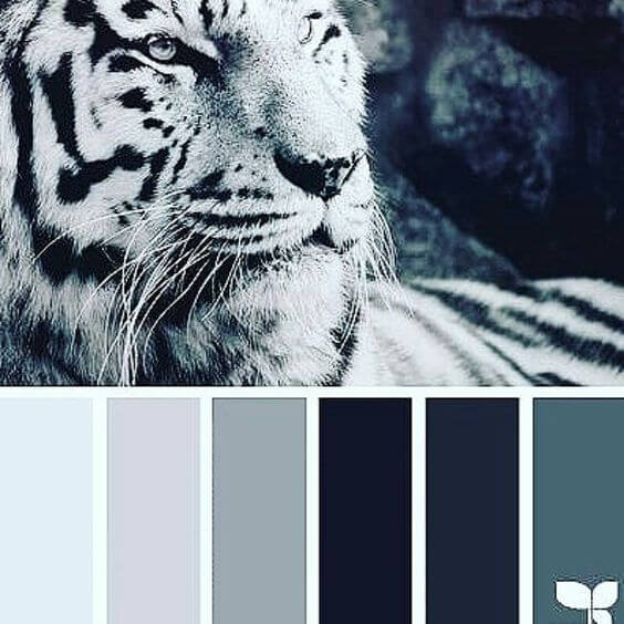 color palette