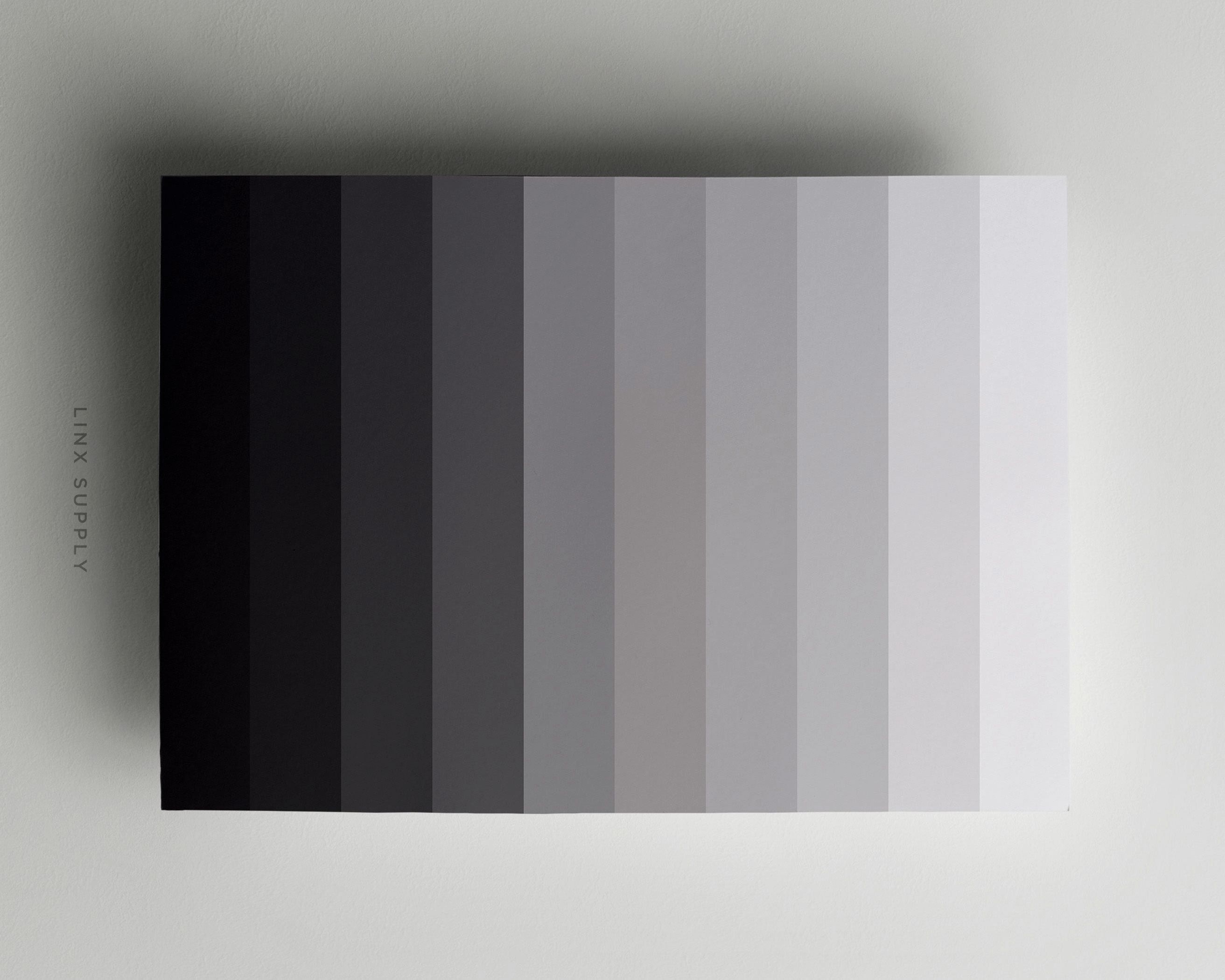 monochrome color scheme