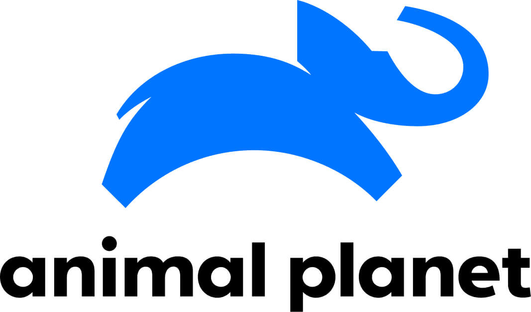 animal planet logo