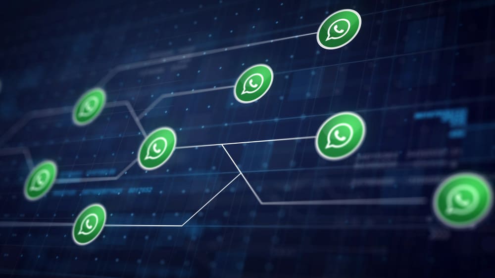How to Use Whatsapp for Business