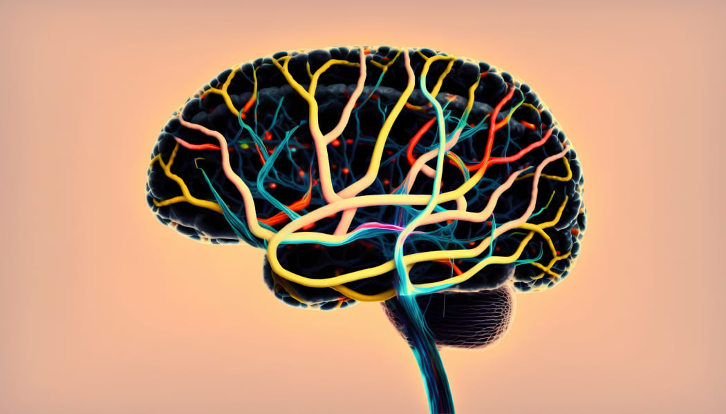 ADHD Entrepreneurs