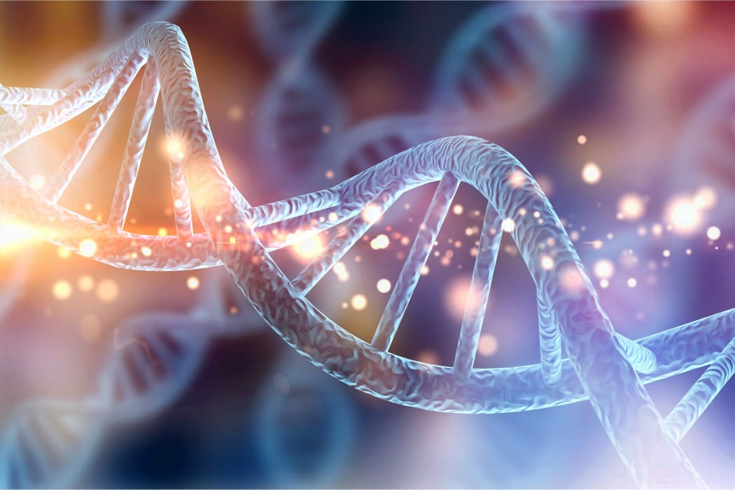 Is Being a CEO in Your DNA?