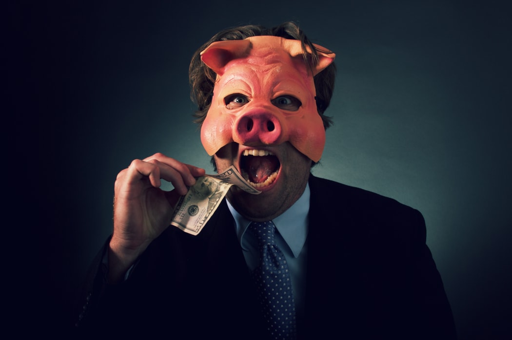 greedy pig