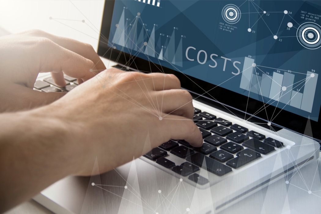 Website costs