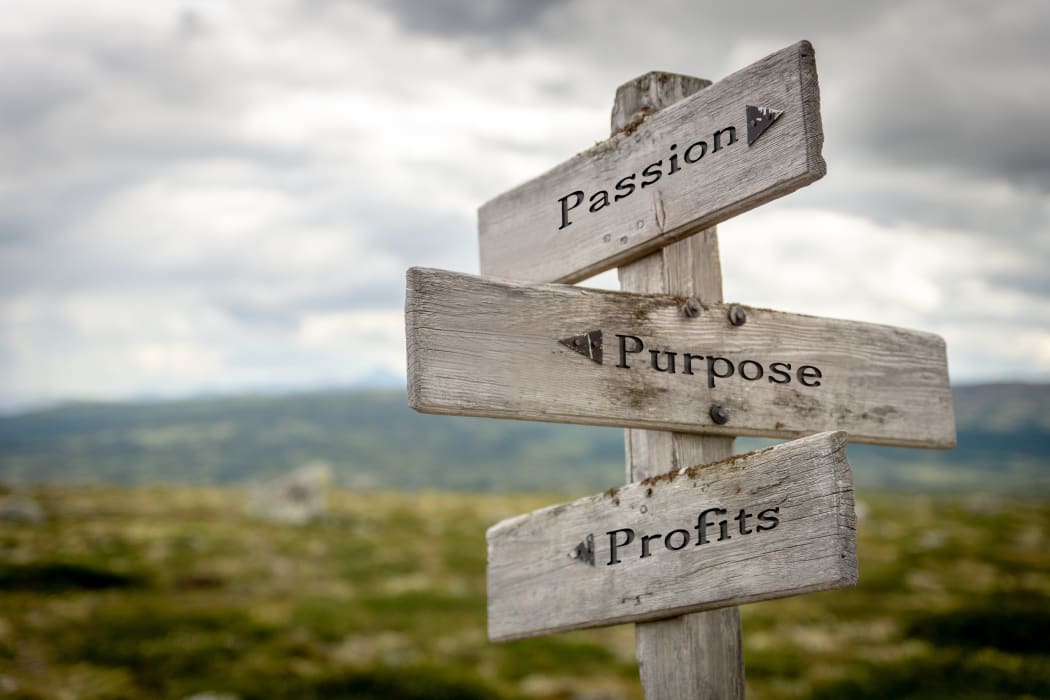 Turn Your Passion Into Profit