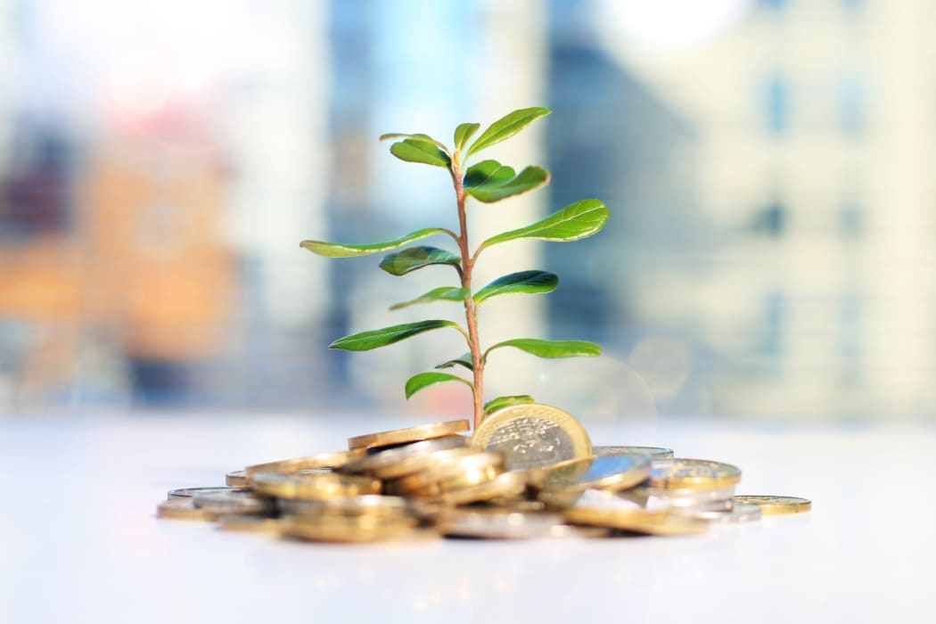 Investment Ventures