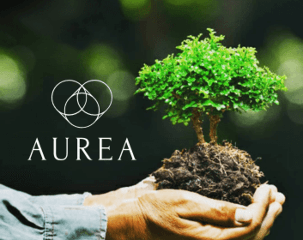 Aurea
