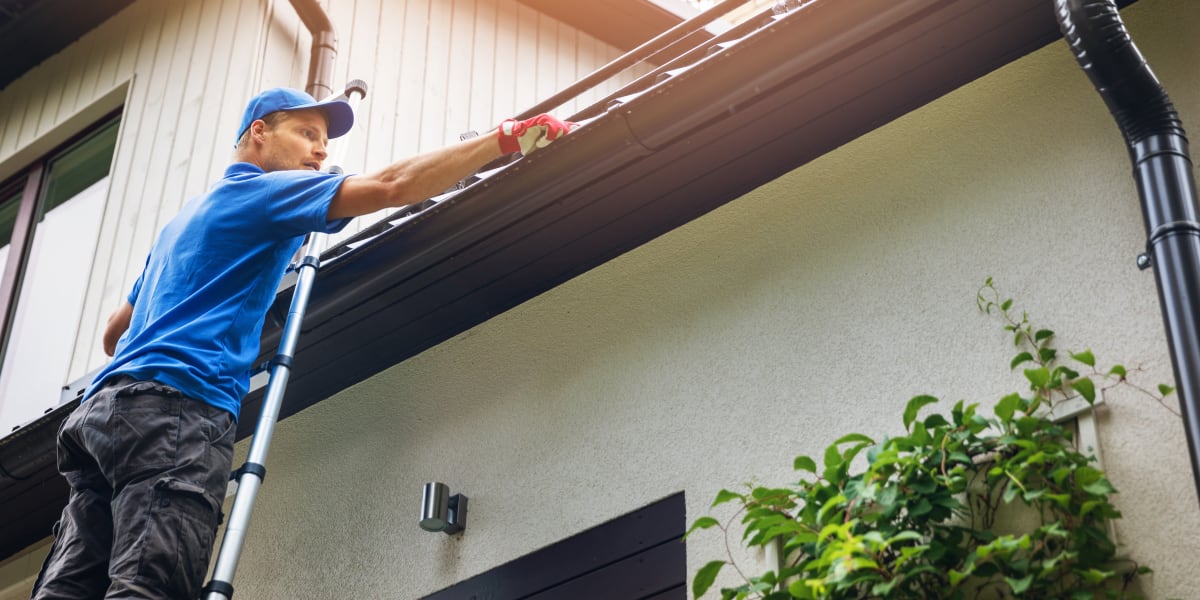 Eastvale Roof Cleaning Company Near Me thumbnail