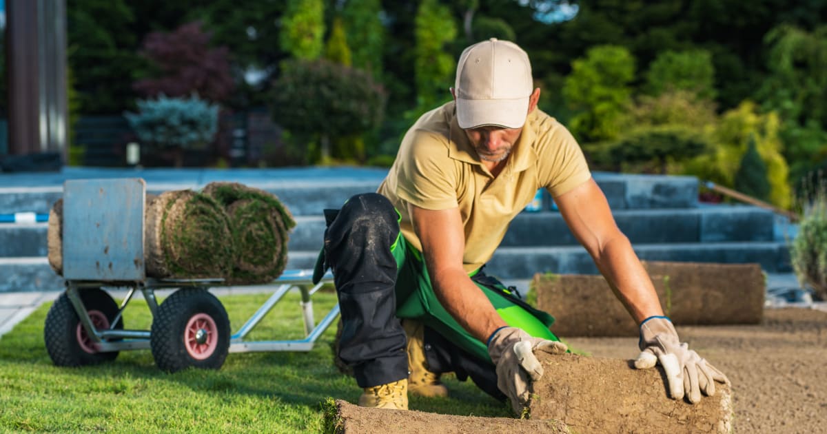 How to Start a Lawn Care Business | ZenBusiness