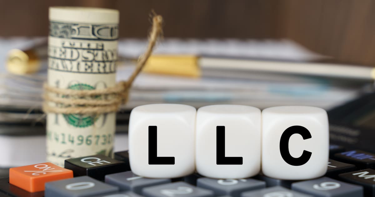 Single Member Llc Tax Deadline 2025 Cleo Mellie
