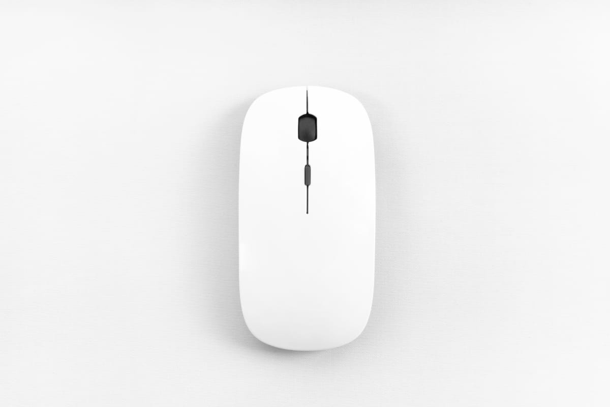 computer mouse