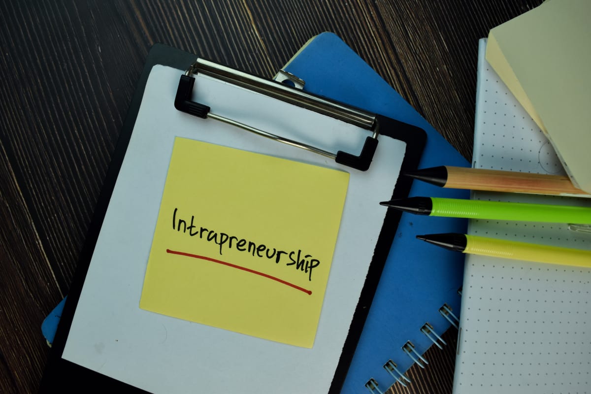 Intrapreneurship