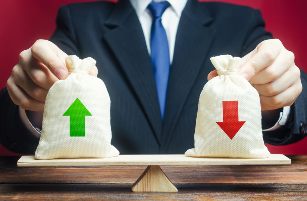 Minimum Viable Income
