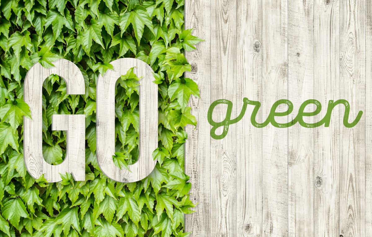 Go Green In The Workplace