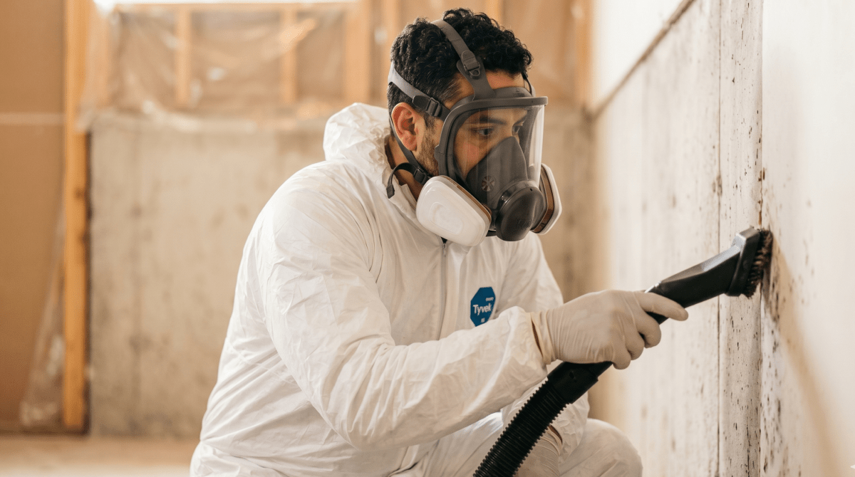 Mold remediation specialist removing mold from a home for a restoration and remediation business