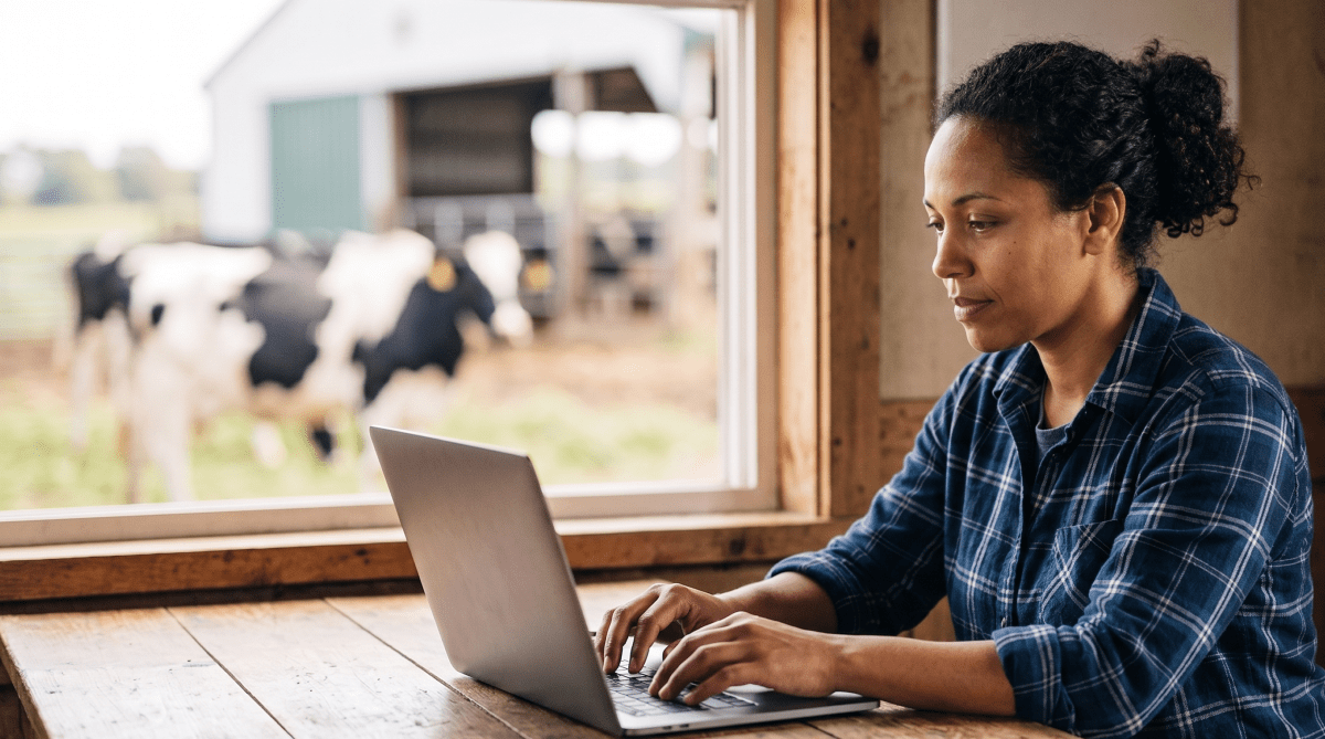 Small-scale dairy farm owner forming their LLC