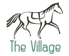 the Village2
