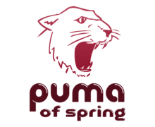 Puma of Spring