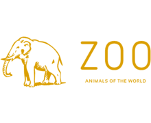 Zoo