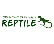 Reptile